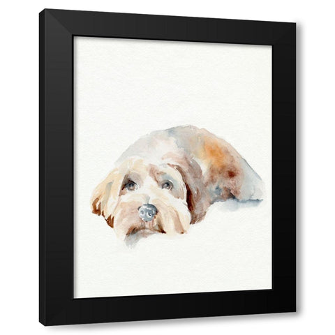 Scruffy Puppy II Black Modern Wood Framed Art Print by Parker, Jennifer Paxton