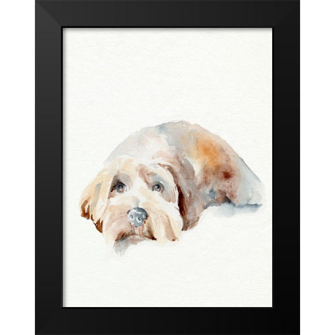 Scruffy Puppy II Black Modern Wood Framed Art Print by Parker, Jennifer Paxton