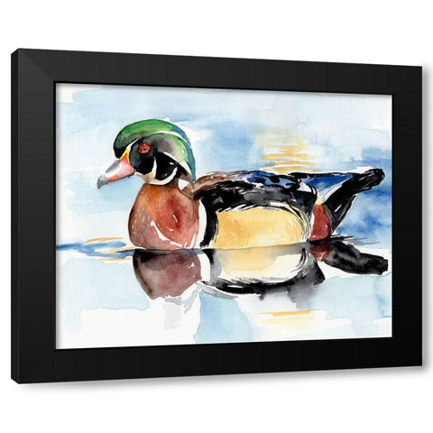 Watercolor Woodduck I Black Modern Wood Framed Art Print by Parker, Jennifer Paxton