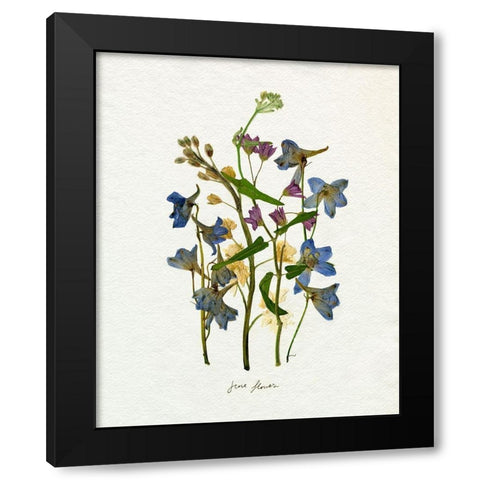 Pressed June Arrangement II Black Modern Wood Framed Art Print by Caroline, Emma