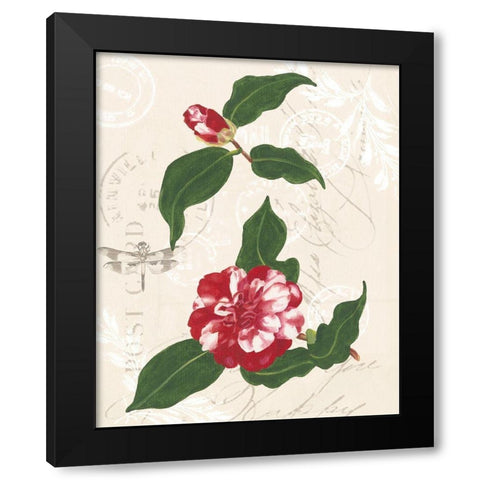 Diannes Camelias I Black Modern Wood Framed Art Print with Double Matting by Miller, Dianne