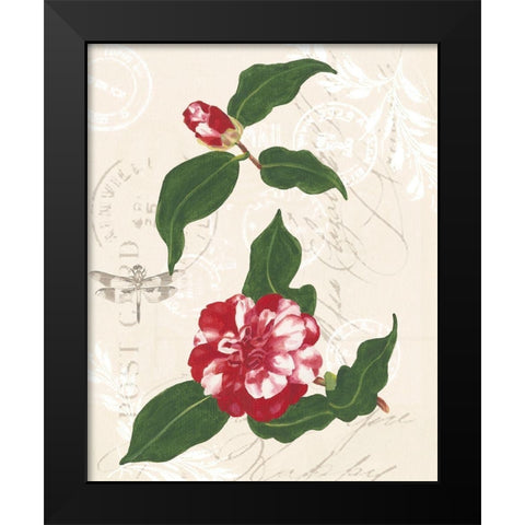 Diannes Camelias I Black Modern Wood Framed Art Print by Miller, Dianne