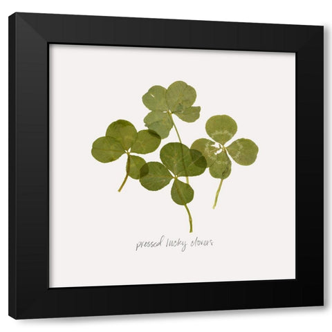 Pressed Clover I Black Modern Wood Framed Art Print by Popp, Grace