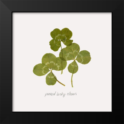 Pressed Clover II Black Modern Wood Framed Art Print by Popp, Grace