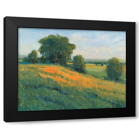 Poppy Fields I Black Modern Wood Framed Art Print by OToole, Tim