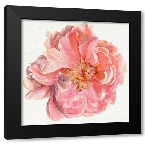 Blossomed Peony I Black Modern Wood Framed Art Print by Parker, Jennifer Paxton