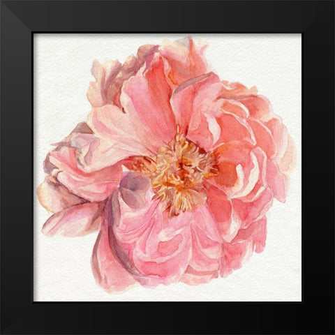 Blossomed Peony I Black Modern Wood Framed Art Print by Parker, Jennifer Paxton