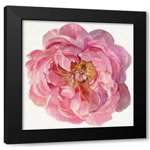 Blossomed Peony II Black Modern Wood Framed Art Print by Parker, Jennifer Paxton