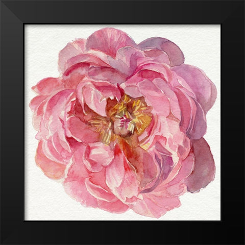 Blossomed Peony II Black Modern Wood Framed Art Print by Parker, Jennifer Paxton