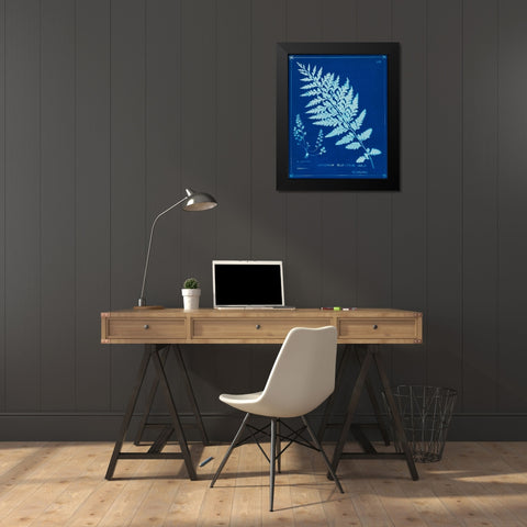 Cyanotype Ferns IV Black Modern Wood Framed Art Print by Unknown