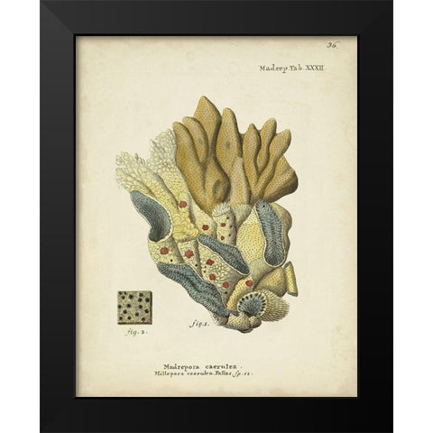 Ecru Coral III Black Modern Wood Framed Art Print by Esper, Johann