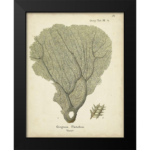 Ecru Coral IV Black Modern Wood Framed Art Print by Esper, Johann