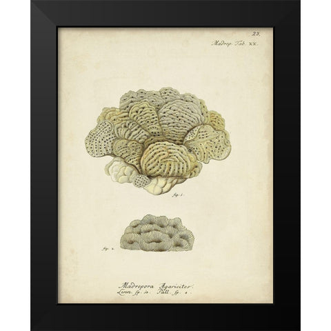 Ecru Coral V Black Modern Wood Framed Art Print by Esper, Johann