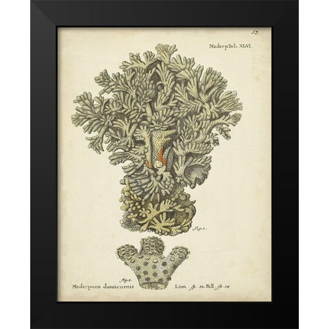 Ecru Coral VI Black Modern Wood Framed Art Print by Esper, Johann