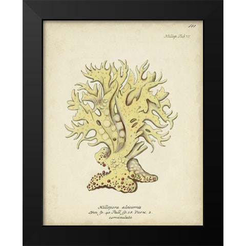 Ecru Coral IX Black Modern Wood Framed Art Print by Esper, Johann