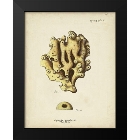 Ecru Coral X Black Modern Wood Framed Art Print by Esper, Johann