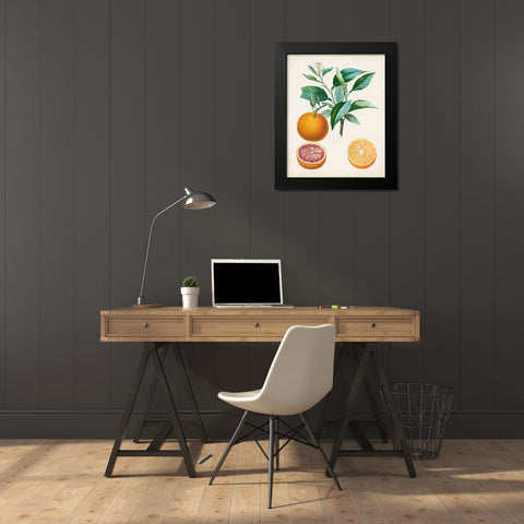 Orange de Malte Black Modern Wood Framed Art Print by Poiteau, Pierre Antoine