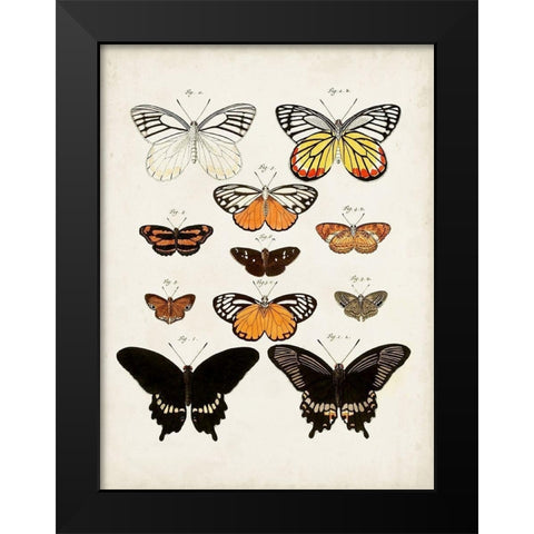 Vintage Butterflies III Black Modern Wood Framed Art Print by Vision Studio