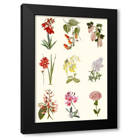 Botanical Array Chart Black Modern Wood Framed Art Print with Double Matting by Vision Studio