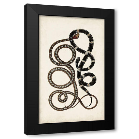 Antique Snakes II Black Modern Wood Framed Art Print by Vision Studio
