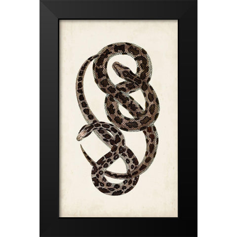 Antique Snakes V Black Modern Wood Framed Art Print by Vision Studio