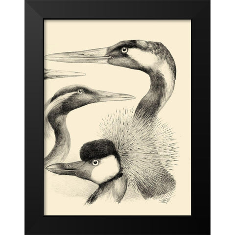 Waterbird Sketchbook I Black Modern Wood Framed Art Print by Vision Studio