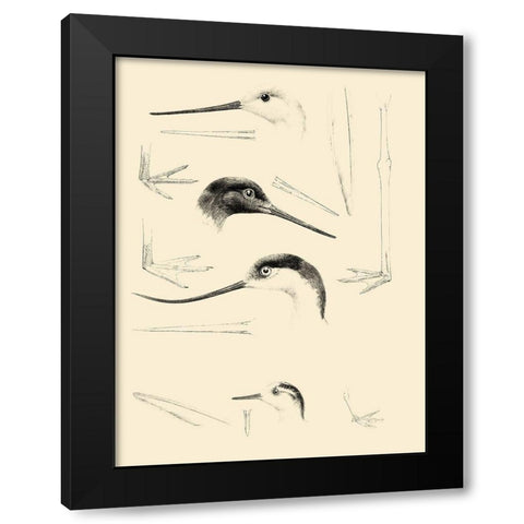 Waterbird Sketchbook V Black Modern Wood Framed Art Print by Vision Studio