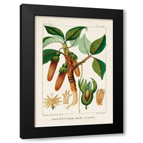 Turpin Foliage and Fruit I Black Modern Wood Framed Art Print by Turpin