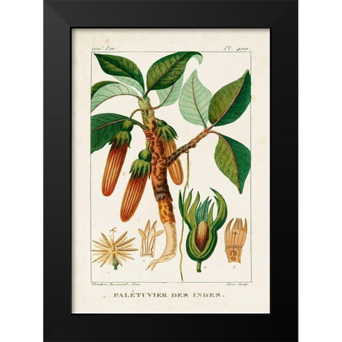Turpin Foliage and Fruit I Black Modern Wood Framed Art Print by Turpin