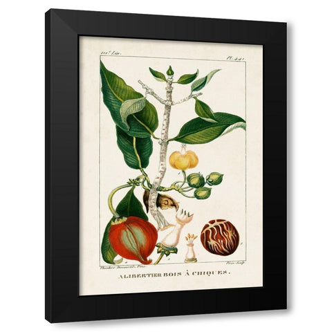 Turpin Foliage and Fruit III Black Modern Wood Framed Art Print with Double Matting by Turpin