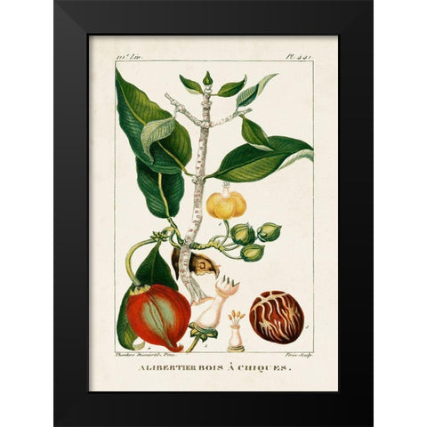 Turpin Foliage and Fruit III Black Modern Wood Framed Art Print by Turpin