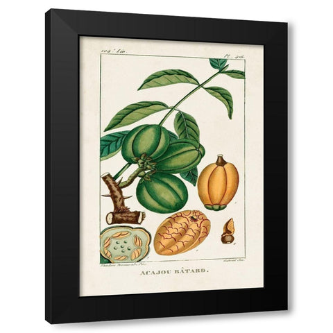 Turpin Foliage and Fruit IV Black Modern Wood Framed Art Print by Turpin