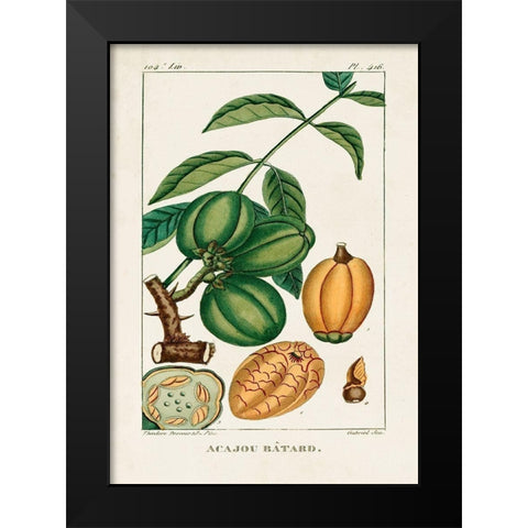 Turpin Foliage and Fruit IV Black Modern Wood Framed Art Print by Turpin
