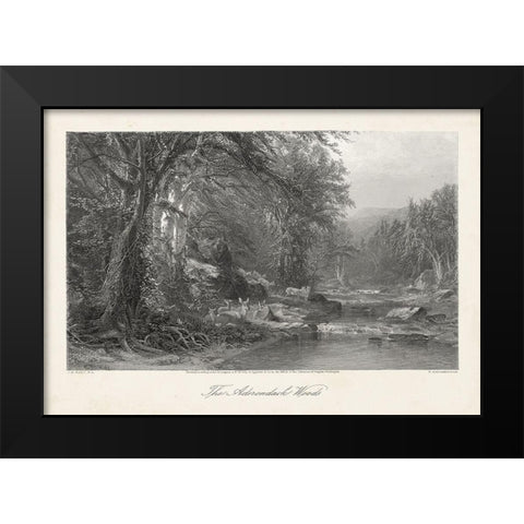 The Adirondack Woods Black Modern Wood Framed Art Print by Bryant, William Cullen