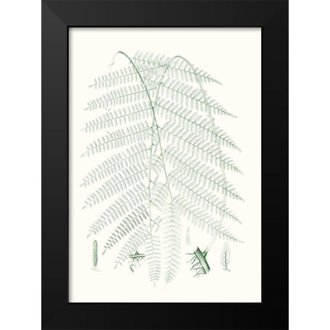 Verdure Ferns I Black Modern Wood Framed Art Print by Vision Studio
