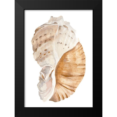 Seashell I Black Modern Wood Framed Art Print by Warren, Annie