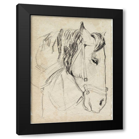 Horse in Bridle Sketch I Black Modern Wood Framed Art Print by Parker, Jennifer Paxton