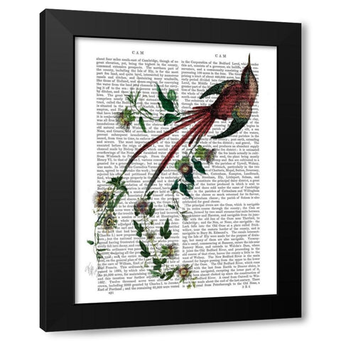 Passion Flower Bird Black Modern Wood Framed Art Print with Double Matting by Fab Funky