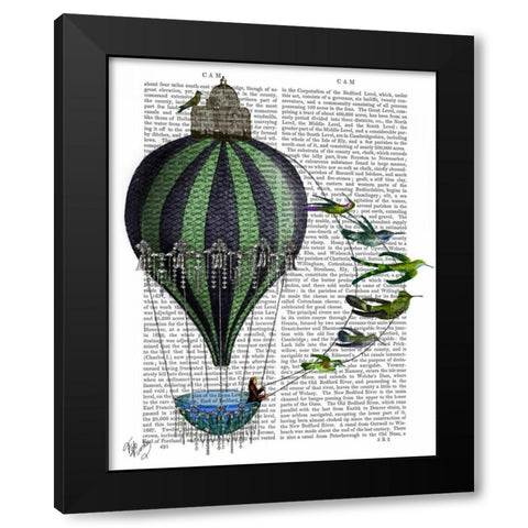 Hot Air Balloon and Birds Black Modern Wood Framed Art Print with Double Matting by Fab Funky