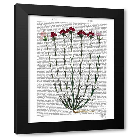 Italian Carnation 4 Black Modern Wood Framed Art Print by Fab Funky