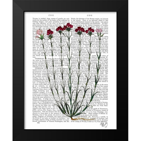 Italian Carnation 4 Black Modern Wood Framed Art Print by Fab Funky