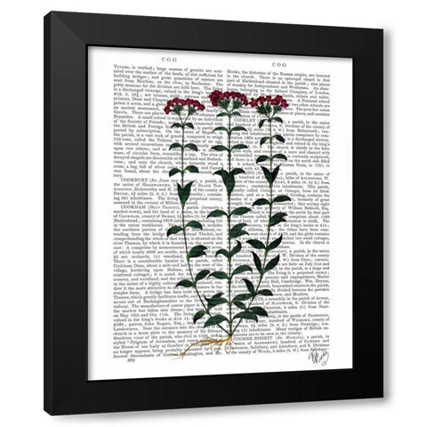 Italian Carnation 6 Black Modern Wood Framed Art Print by Fab Funky