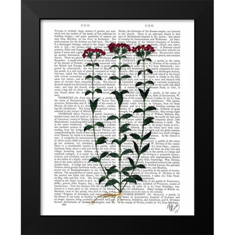 Italian Carnation 6 Black Modern Wood Framed Art Print by Fab Funky