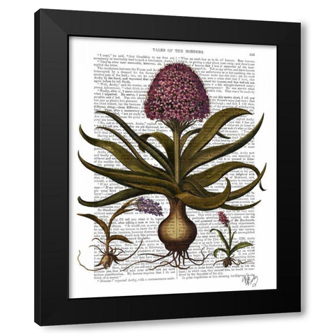 Vintage Hyacinth Black Modern Wood Framed Art Print by Fab Funky