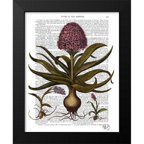 Vintage Hyacinth Black Modern Wood Framed Art Print by Fab Funky