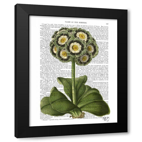 Primula Auricula Blue Black Modern Wood Framed Art Print by Fab Funky