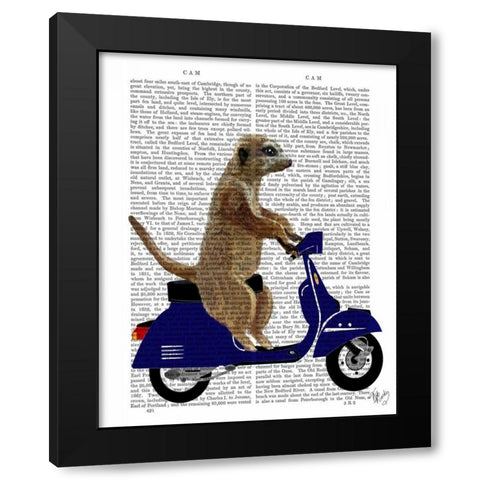 Meerkat on Dark Blue Moped Black Modern Wood Framed Art Print by Fab Funky