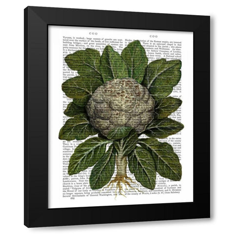 Cauliflower Black Modern Wood Framed Art Print by Fab Funky