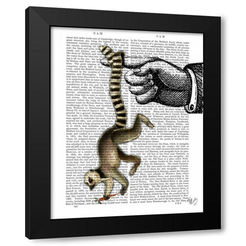 Ring Tailed Lemur on Finger Black Modern Wood Framed Art Print by Fab Funky