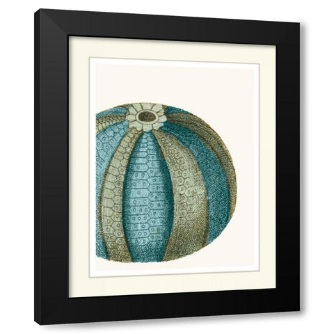 Blue Underwater Scenes 1 a Black Modern Wood Framed Art Print with Double Matting by Fab Funky